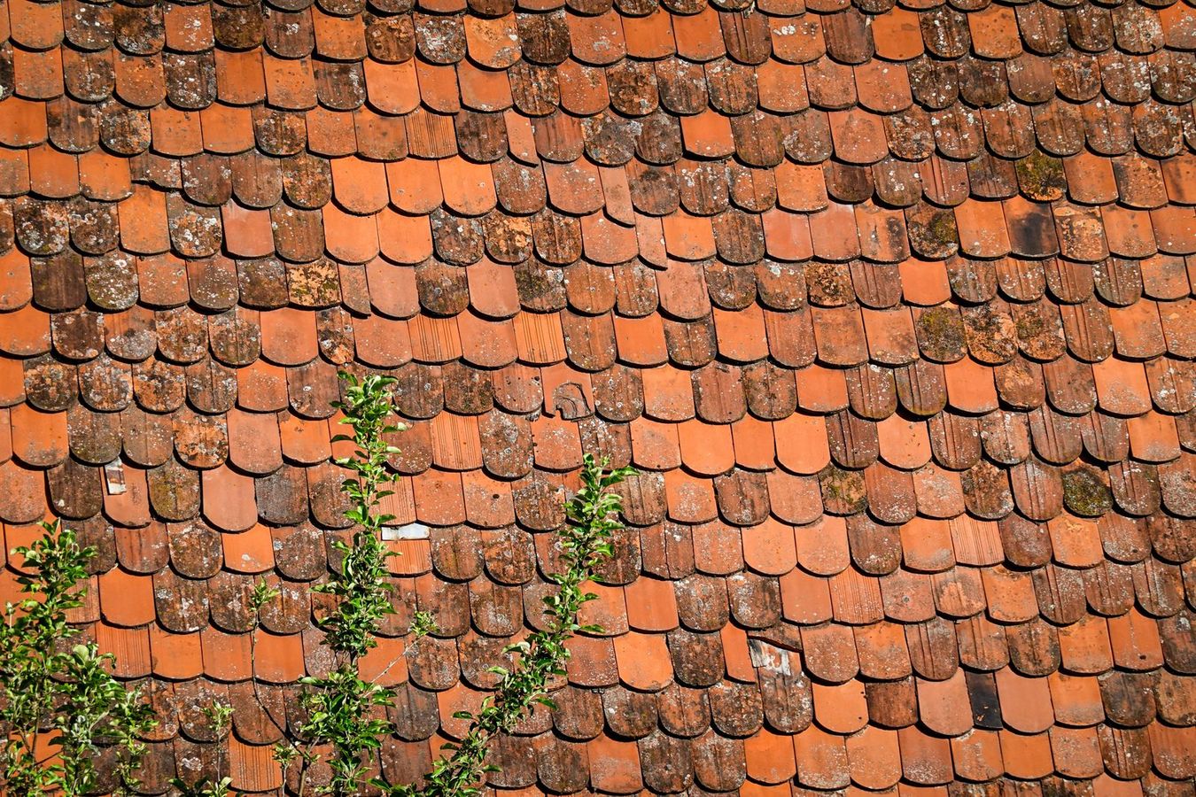 Rénovation de Toiture